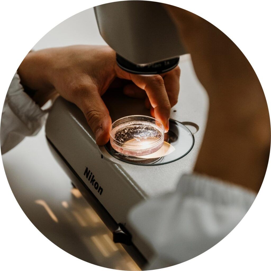 Why working at Avantea