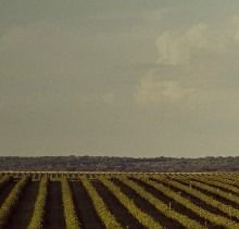 Why working at Demetra